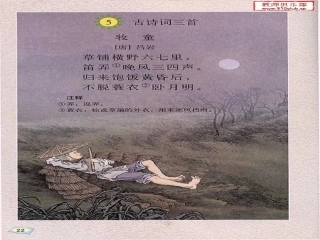 牧童 (2)