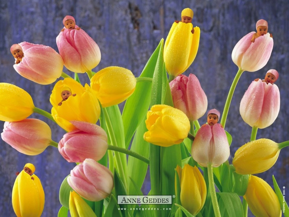 人的生殖课件_第1页