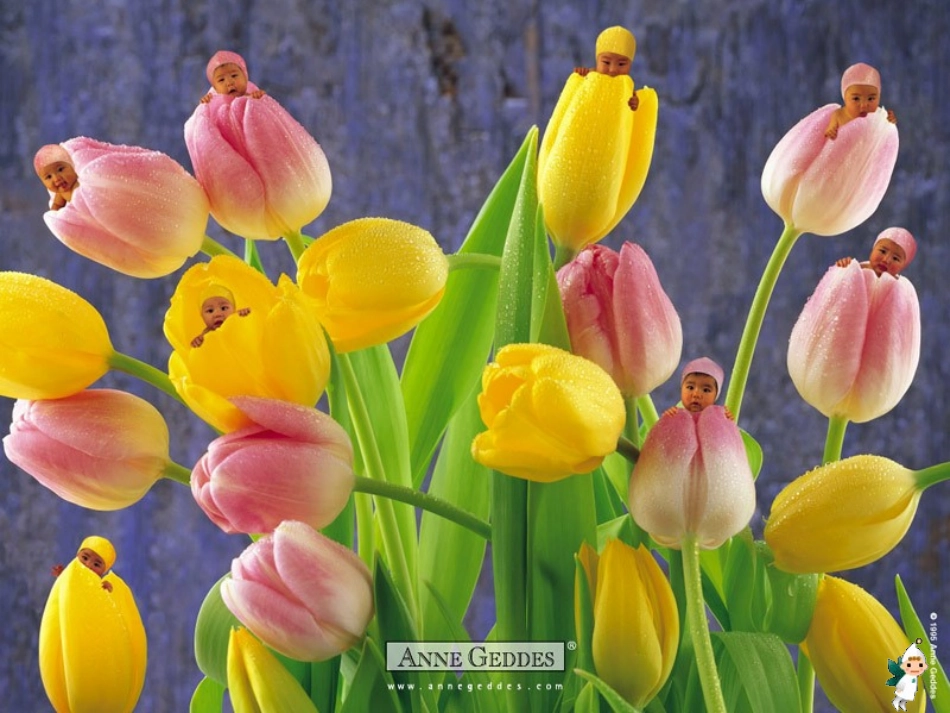 人的生殖课件_第3页