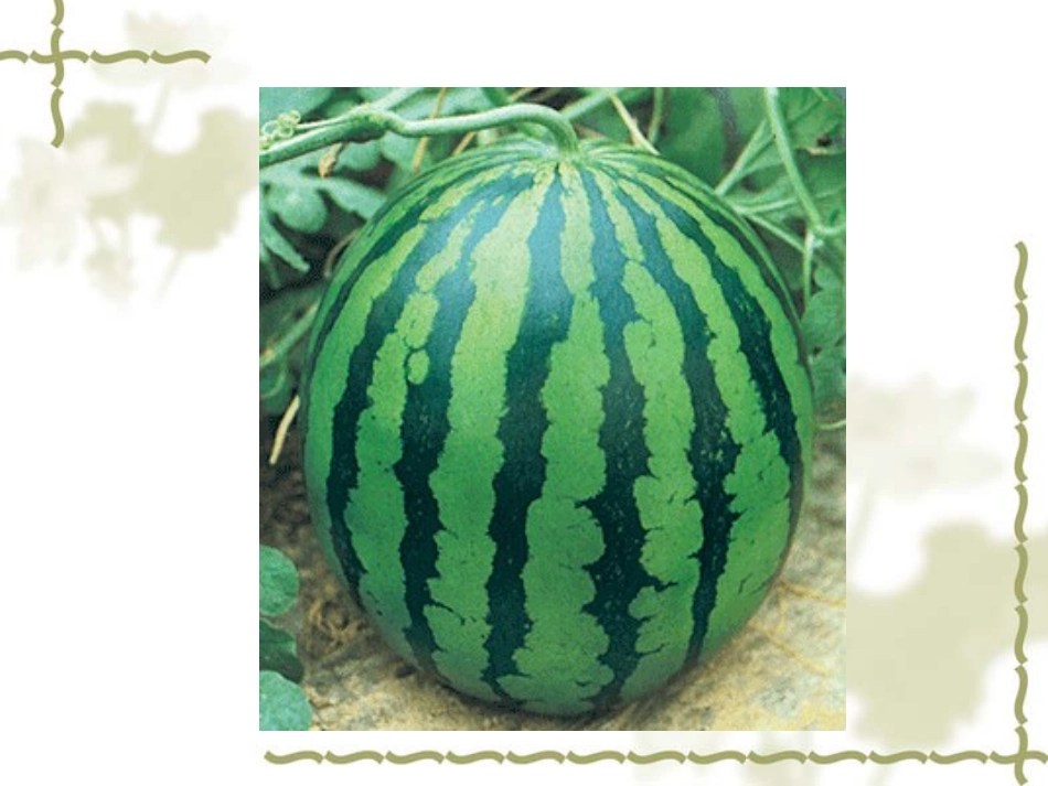 生的食物和熟的食物_第3页