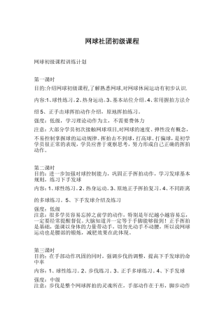 网球初级课程训练计划