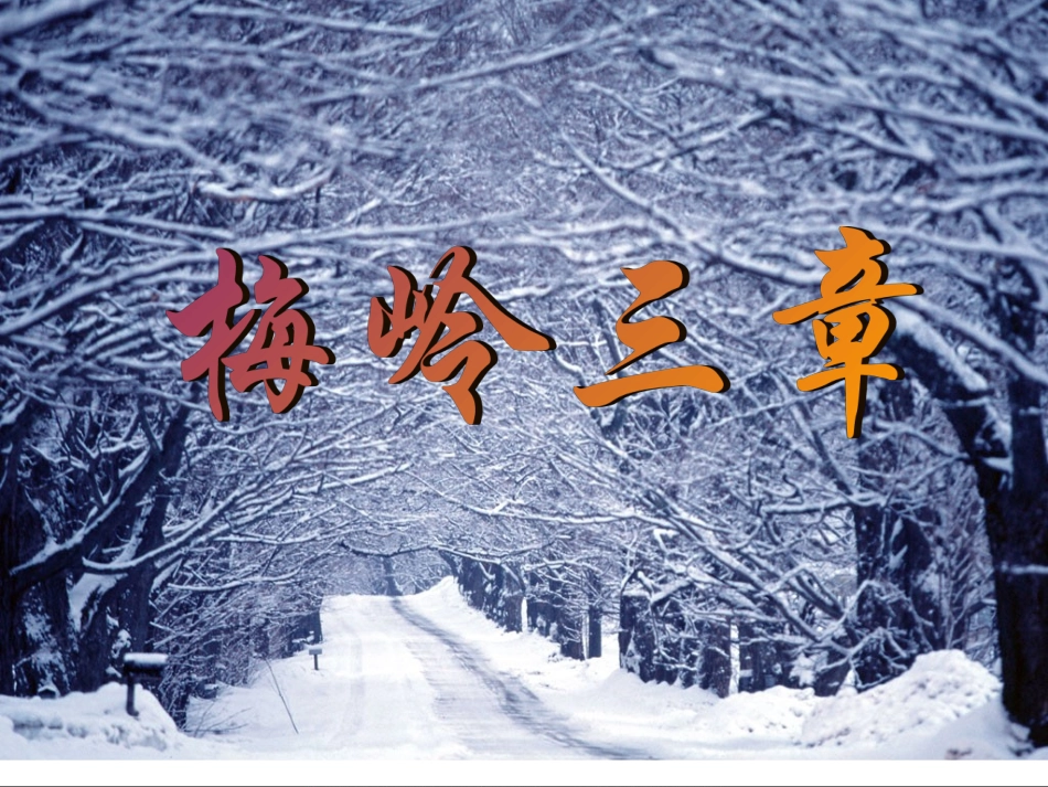 七年级语文下册《梅岭三章》课件 北师大版_第2页