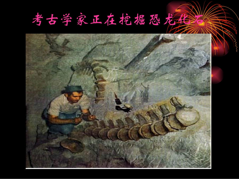 生物进化历程_第2页