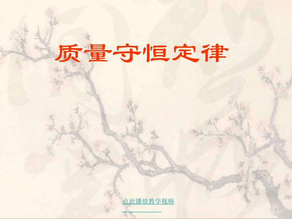 质量守恒定律yong_第1页