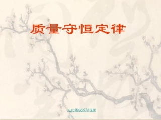 质量守恒定律yong