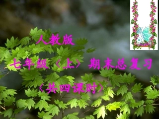 七年上册复习课