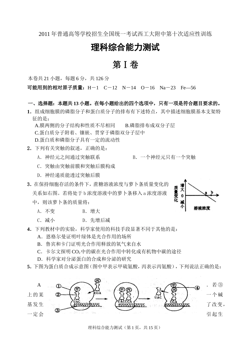 十模理综试题_第1页