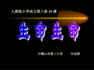 生命生命 (4)