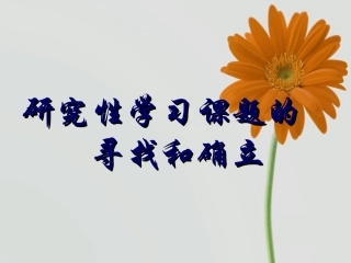 研究性学习课题的寻找和确立