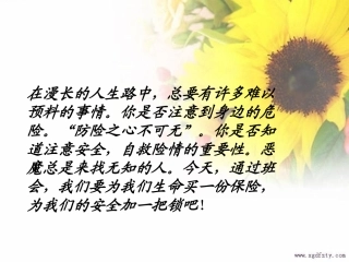 主题班会：珍爱生命——安全教育