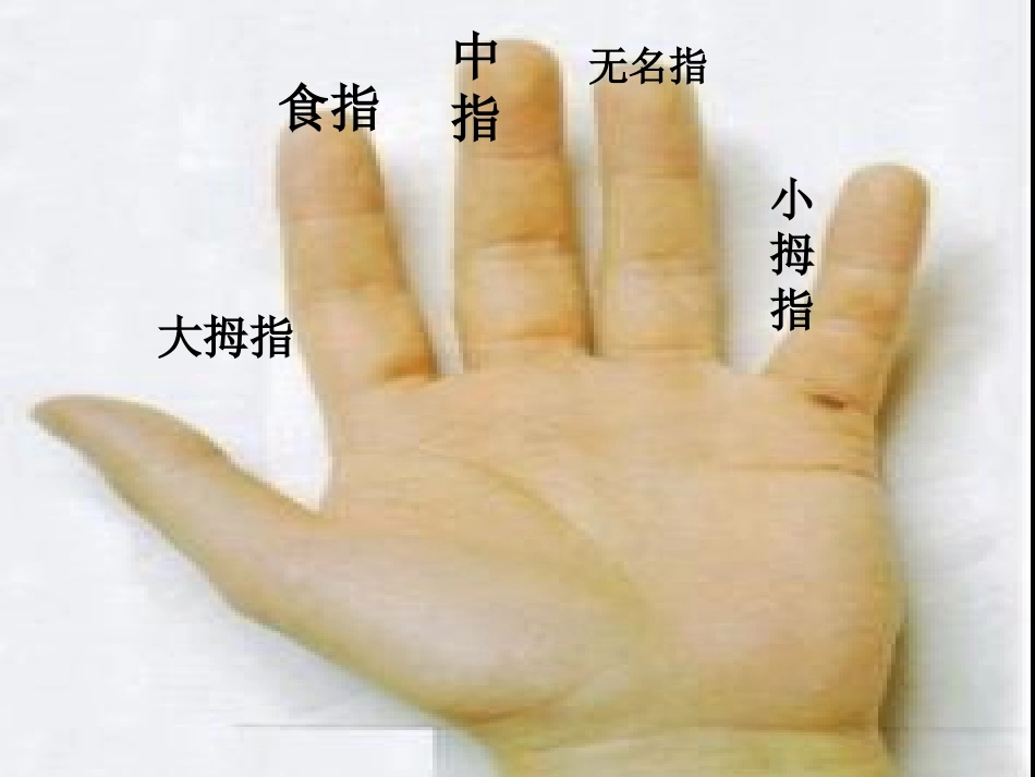 我的小手真能干_第3页