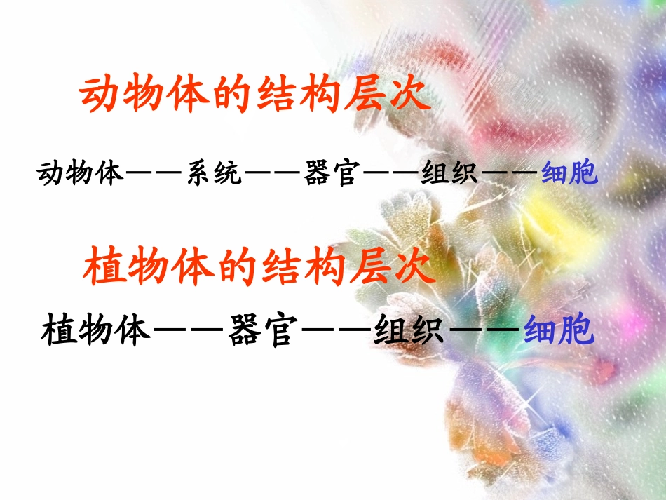 七年级生物《单细胞生物》课件_第1页
