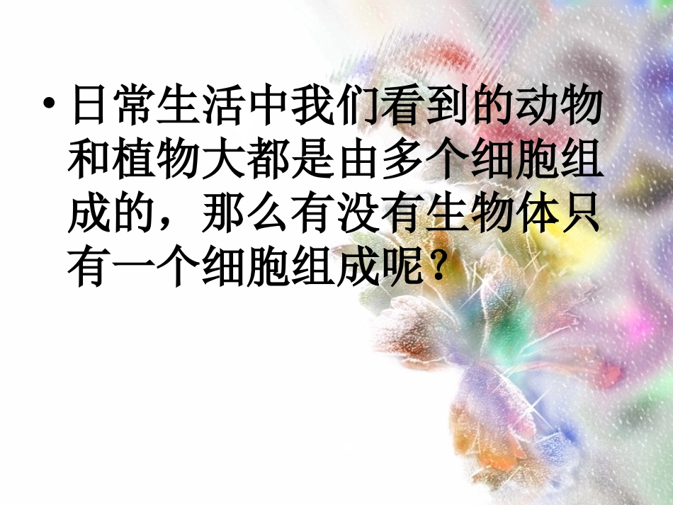 七年级生物《单细胞生物》课件_第2页