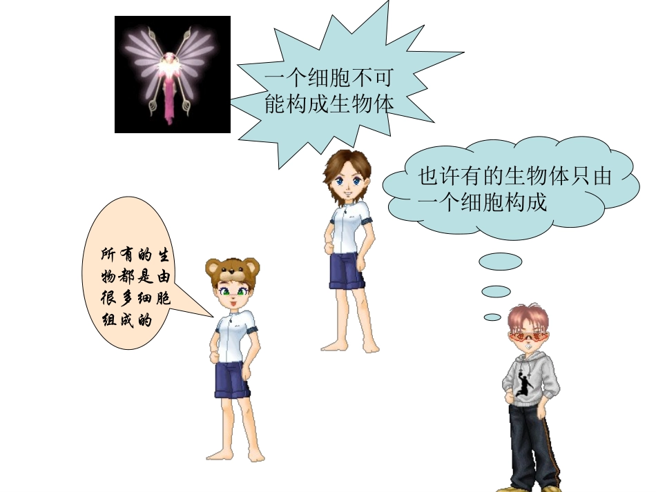 七年级生物《单细胞生物》课件_第3页