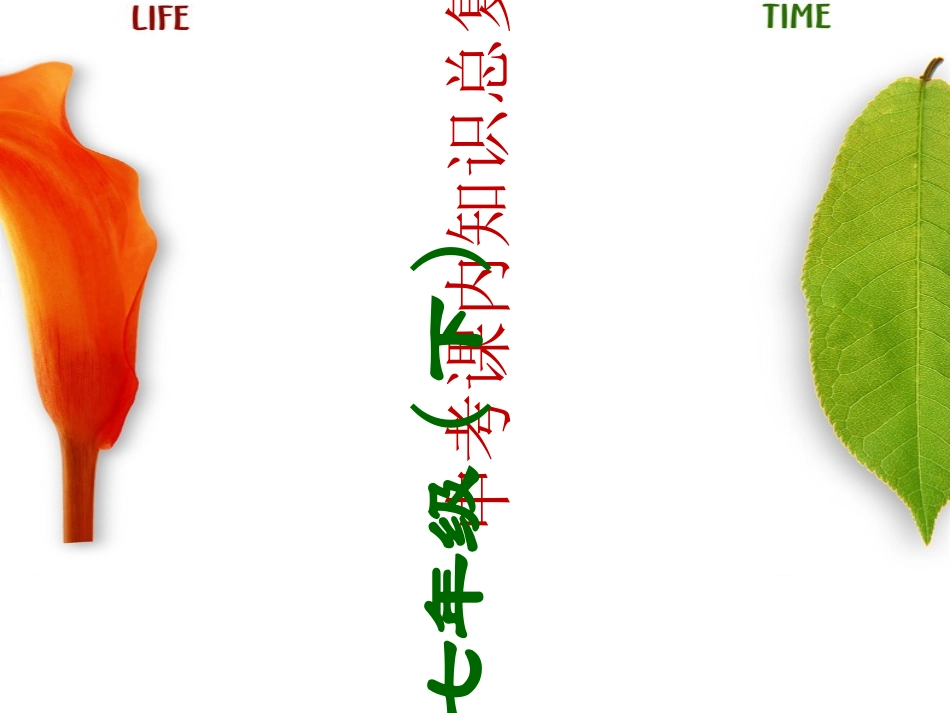 中考语文课内知识总复习 七年级下册优秀课件（147页）人教新课标版_第1页