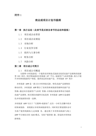 商业或项目计划书提纲