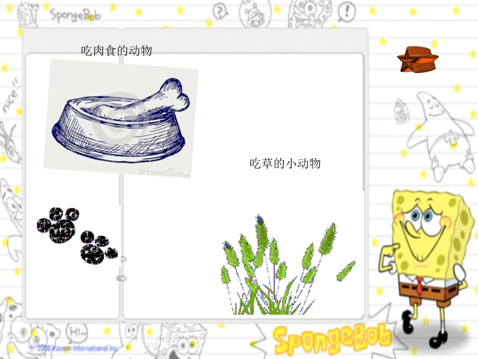 可爱的小动物_第2页