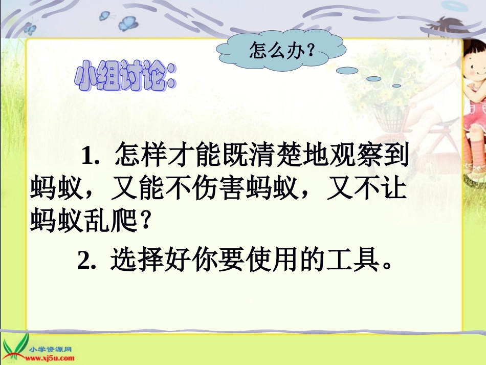 三年级科学上册课件_蚂蚁 (2)_第2页