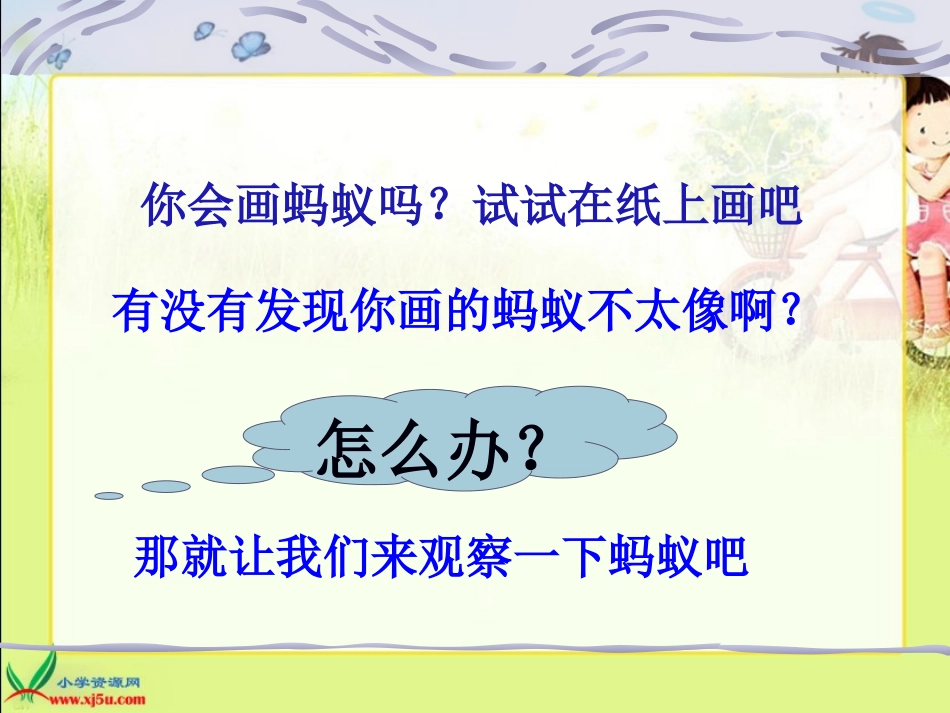 三年级科学上册课件_蚂蚁 (2)_第3页
