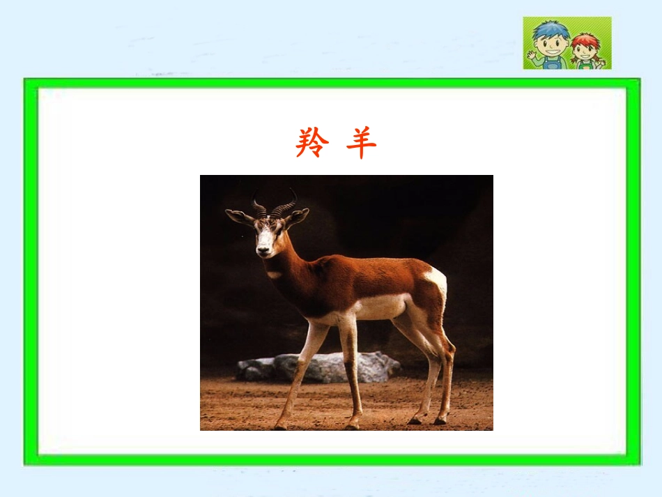 生命桥 (3)_第2页