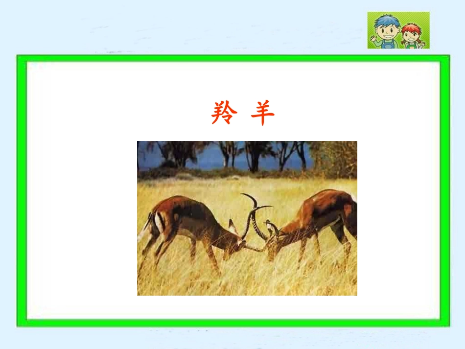 生命桥 (3)_第3页