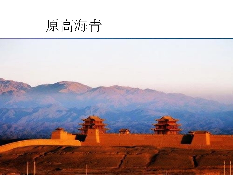 青海高原一株柳_第3页