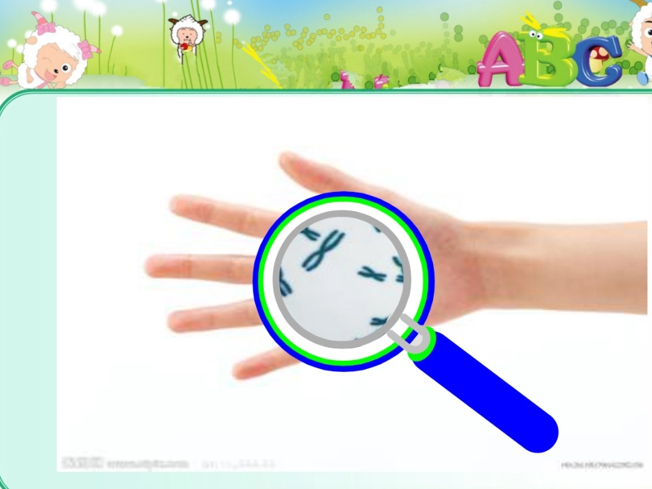 中班健康课件：《夏季的卫生》2_第3页
