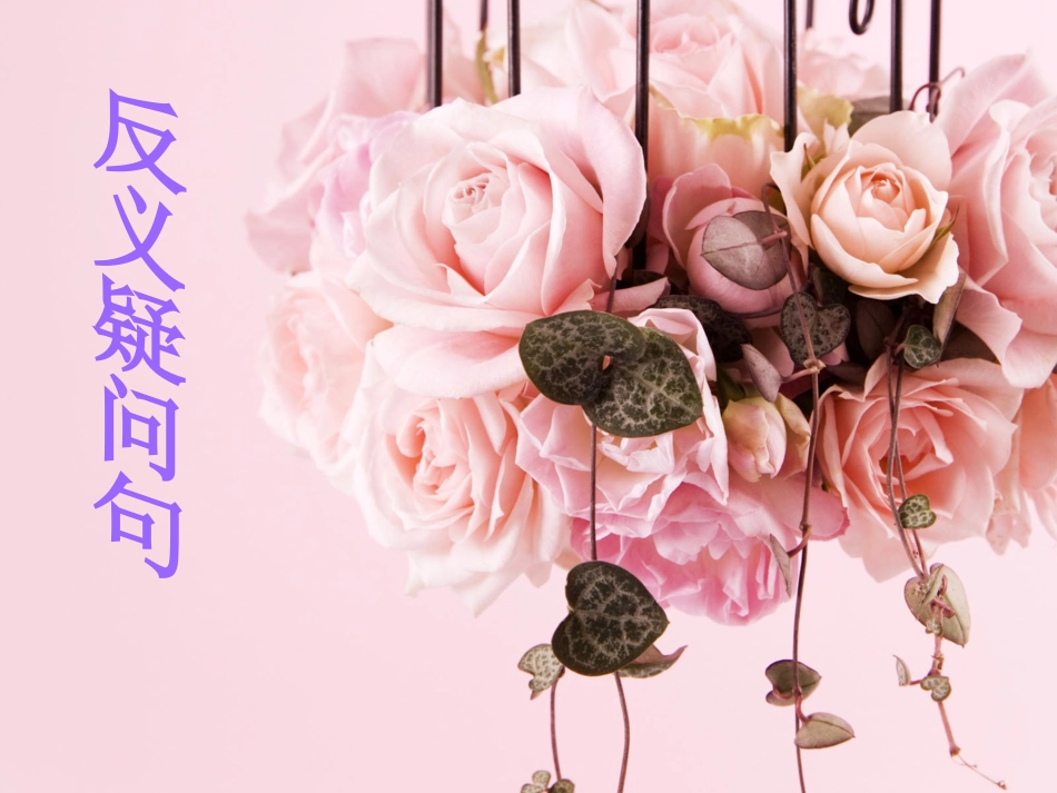 中考复习--反义疑问句课件(共32张PPT)_第1页