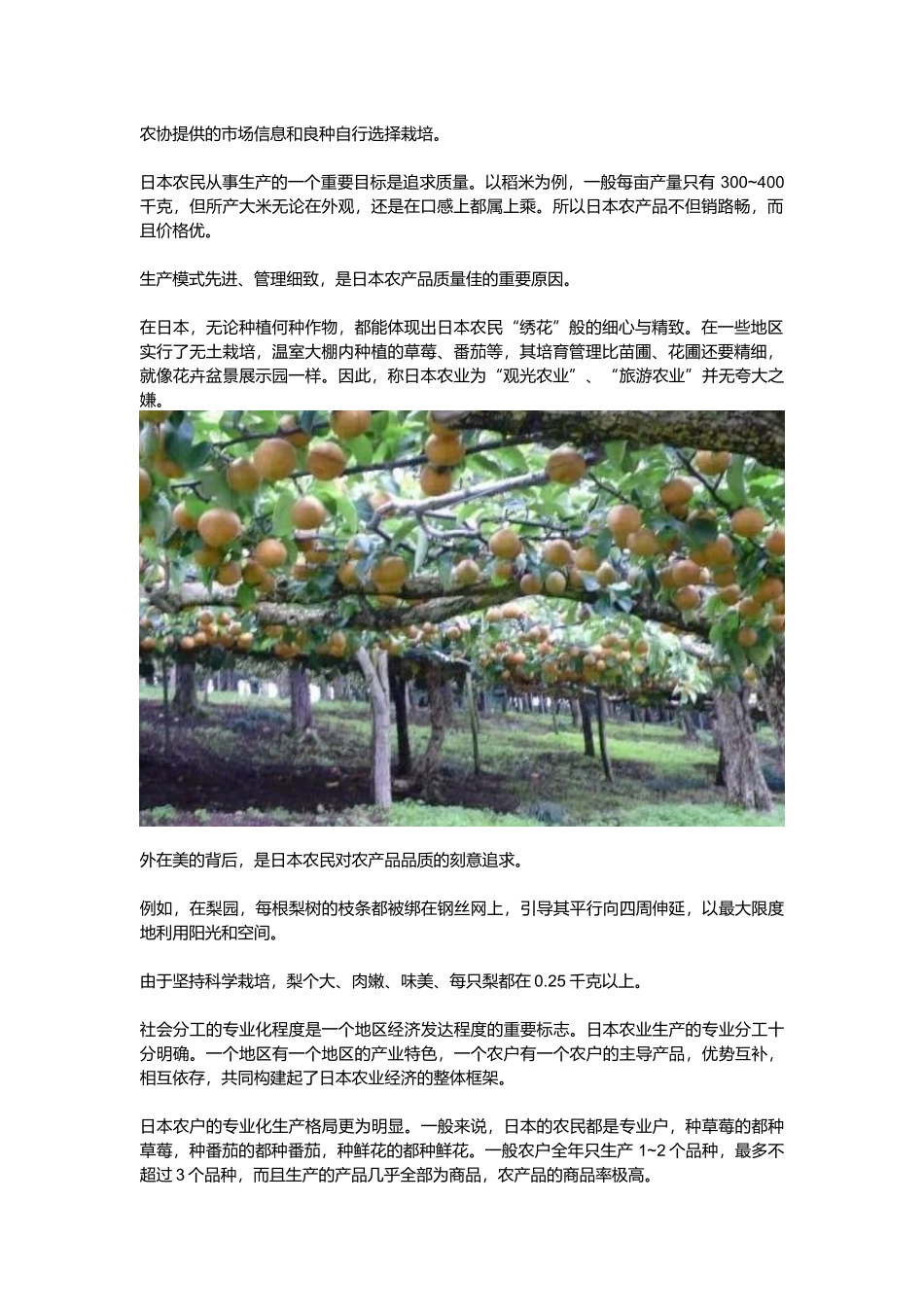 日本现代农业_第2页