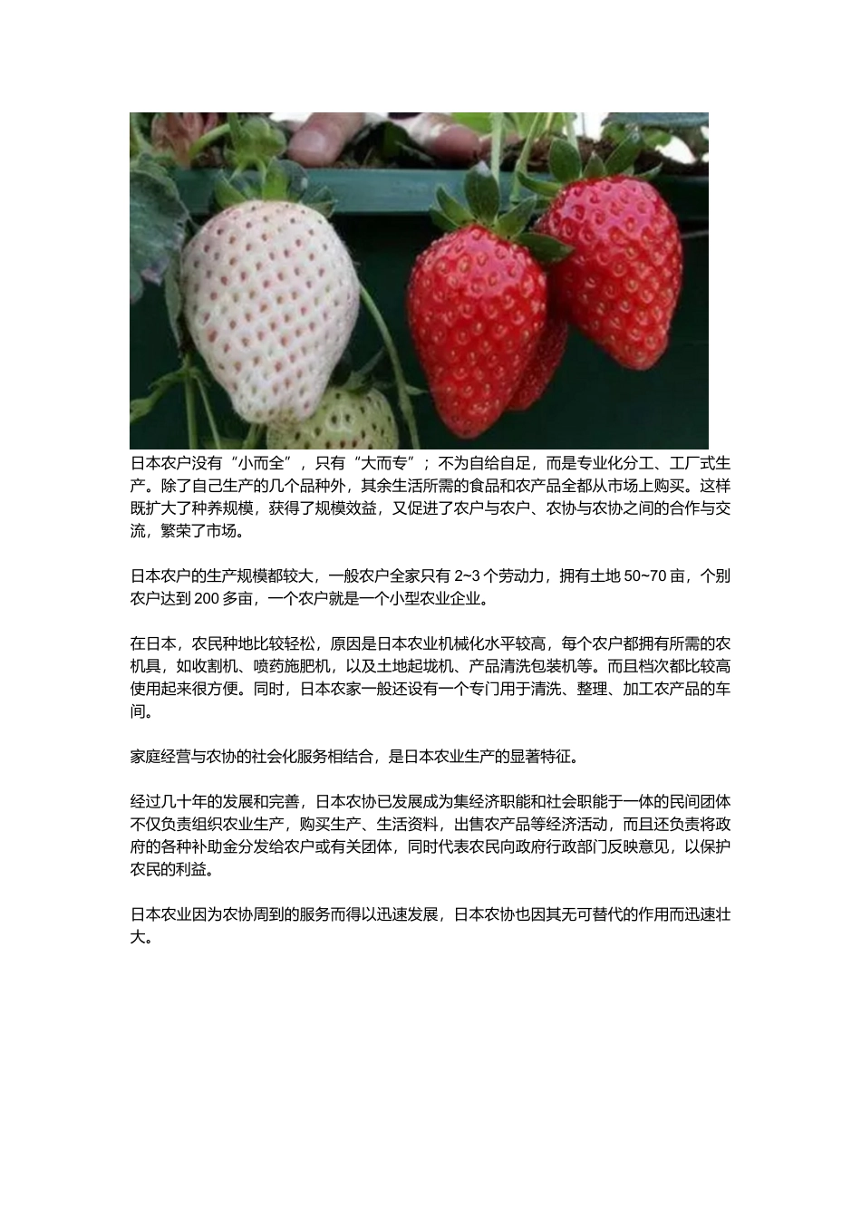 日本现代农业_第3页