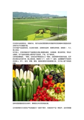 日本现代农业