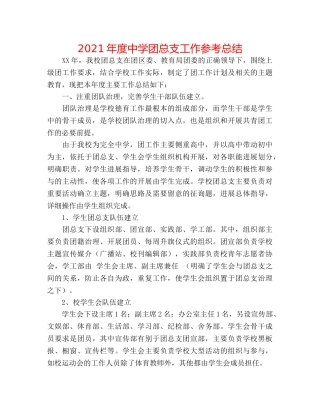 2024年度团总支工作参考总结 