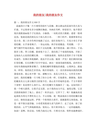 我的朋友-我的朋友作文 