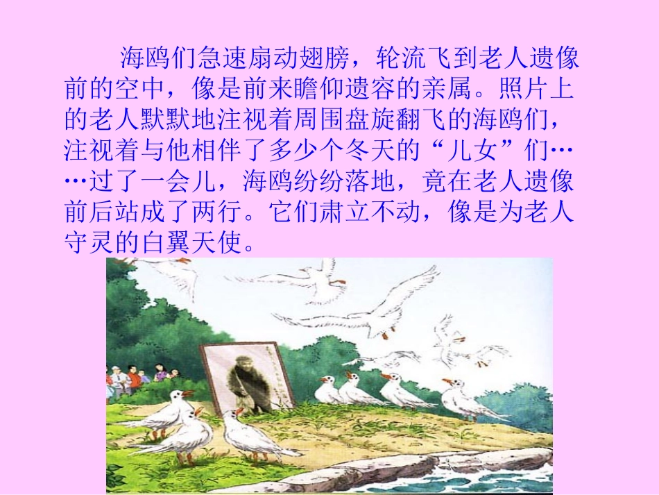 老人与海鸥1_第2页