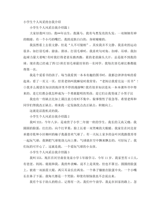 小学生个人风采的自我介绍 