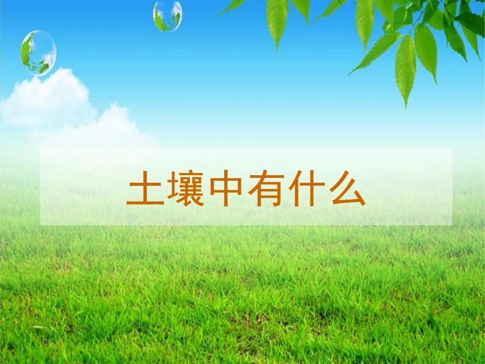 土壤中有什么_第1页