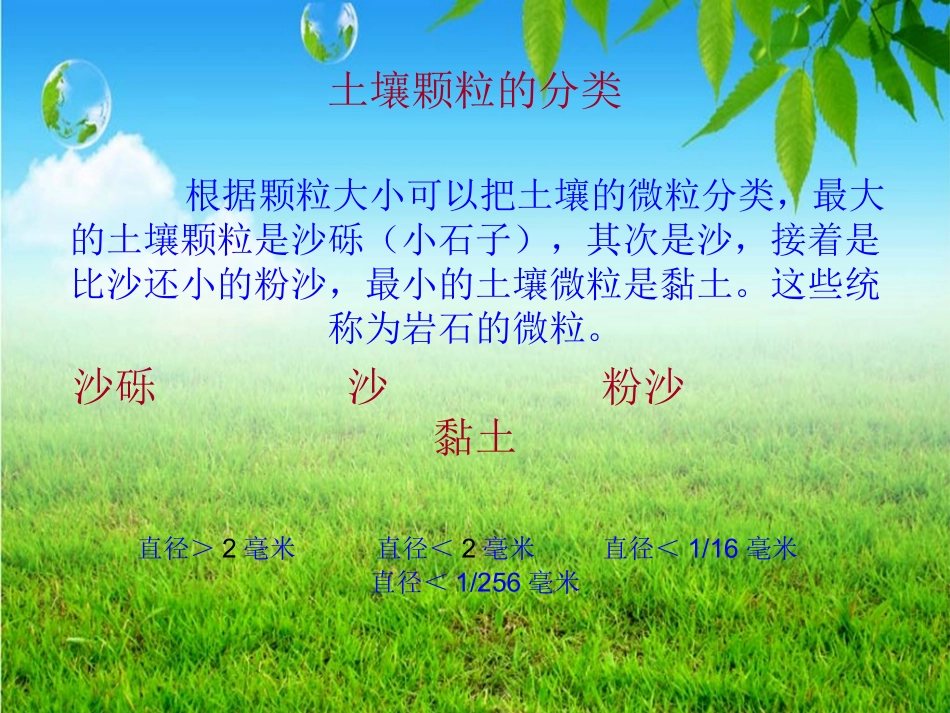 土壤中有什么_第3页