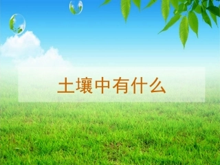 土壤中有什么