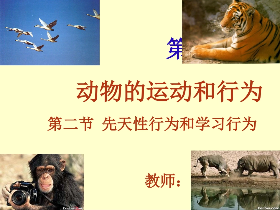 先天性行为和学习行为 (2)_第1页