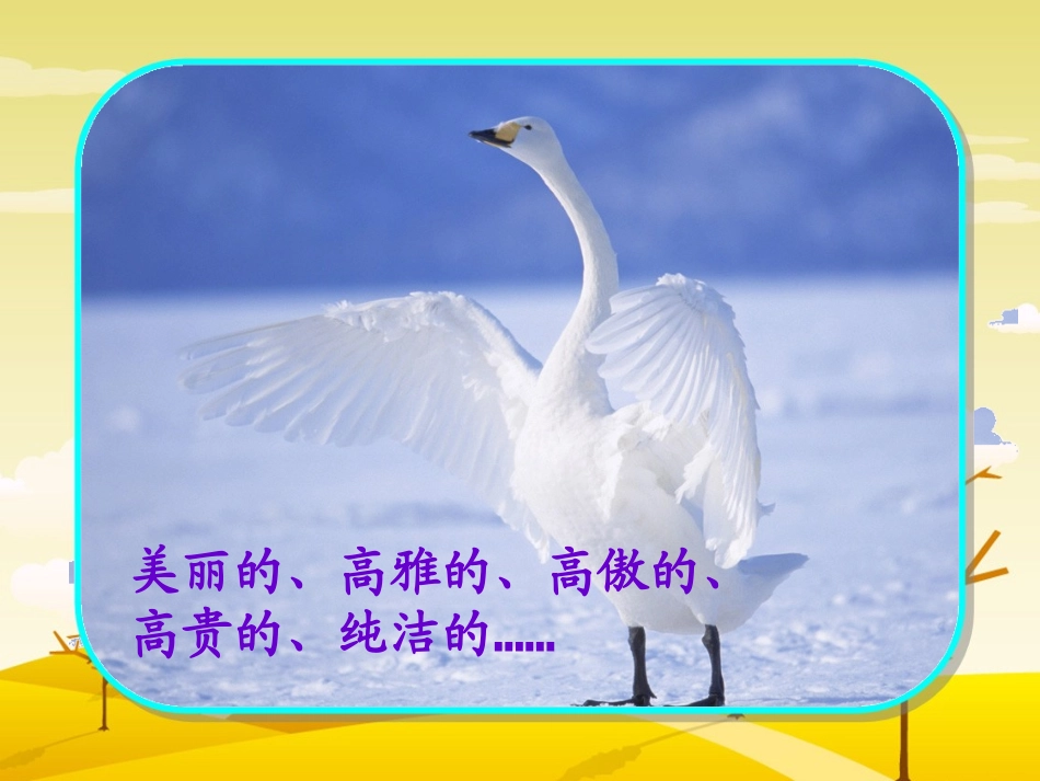 天鹅的故事新_第3页