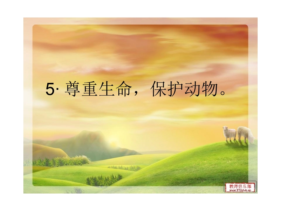 生命教育课件_第1页