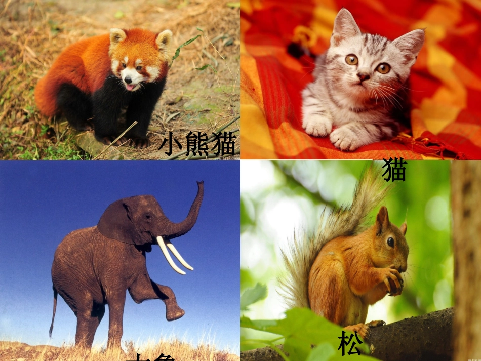 生命教育课件_第2页