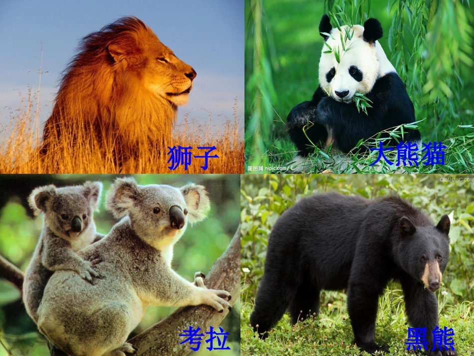 生命教育课件_第3页