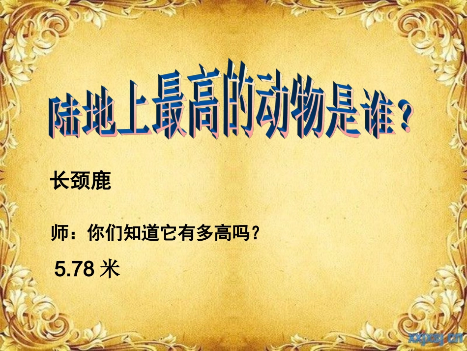 长颈鹿的美术教学PPT_第2页