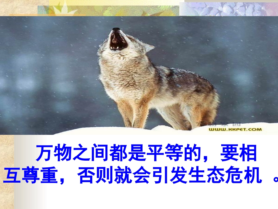 像山那样思考_第3页