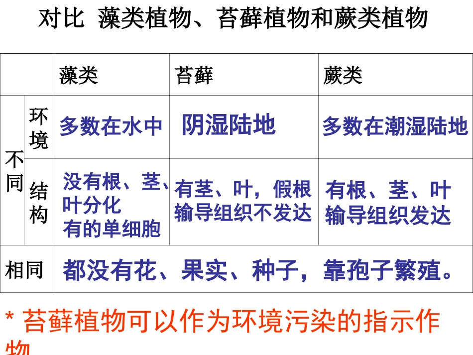 生物圈中的绿色植物_第3页