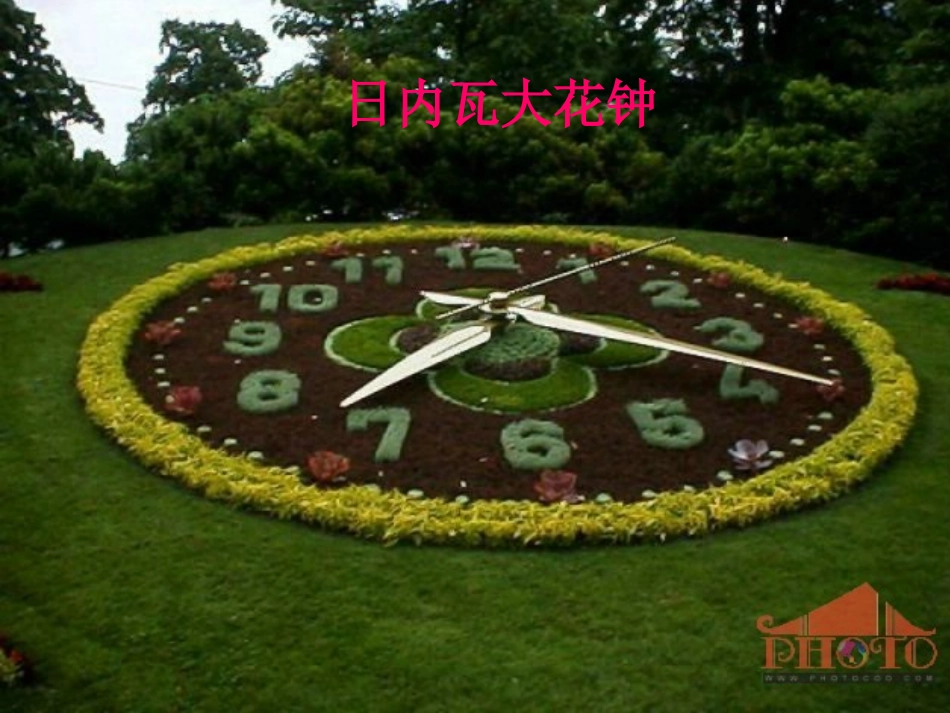 三年级语文上册_花钟1课件_人教新课标版-副本_第2页