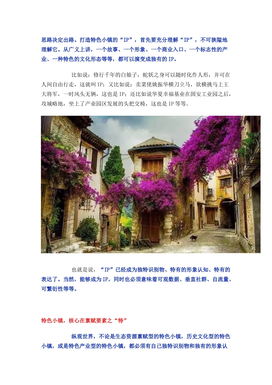 特色小镇：IP运作的案例和实战_第1页