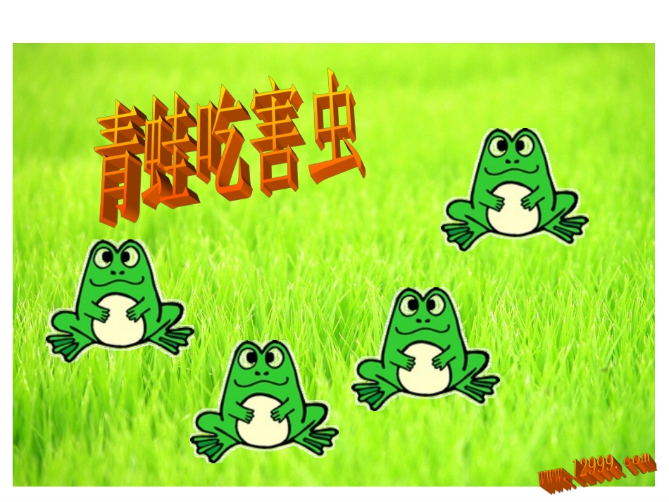 青蛙吃虫子课件_第1页