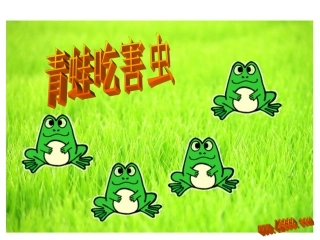 青蛙吃虫子课件